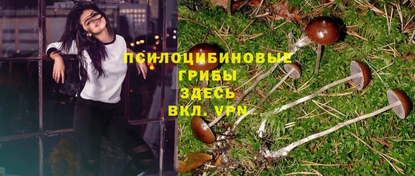 MDMA Premium VHQ Арсеньев