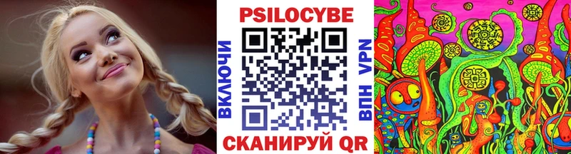 ОМГ ОМГ как зайти  Чаплыгин  Галлюциногенные грибы GOLDEN TEACHER  что такое наркотик 