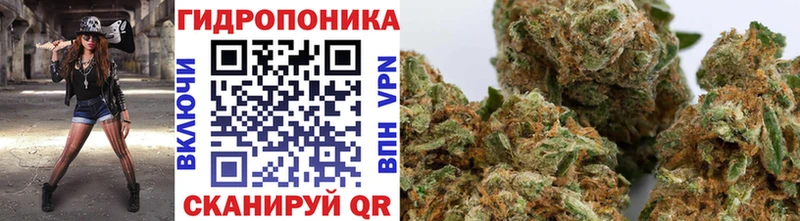 Шишки марихуана индика  купить наркотик  Чаплыгин 